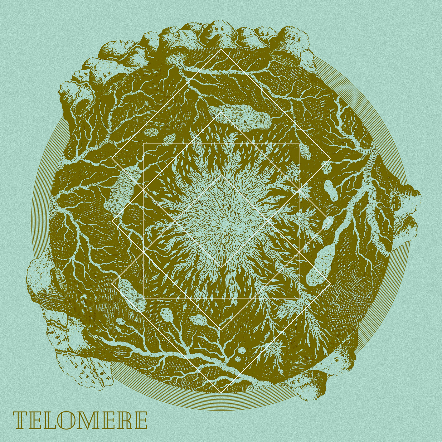 VARIOUS ARTISTS – TELOMERE