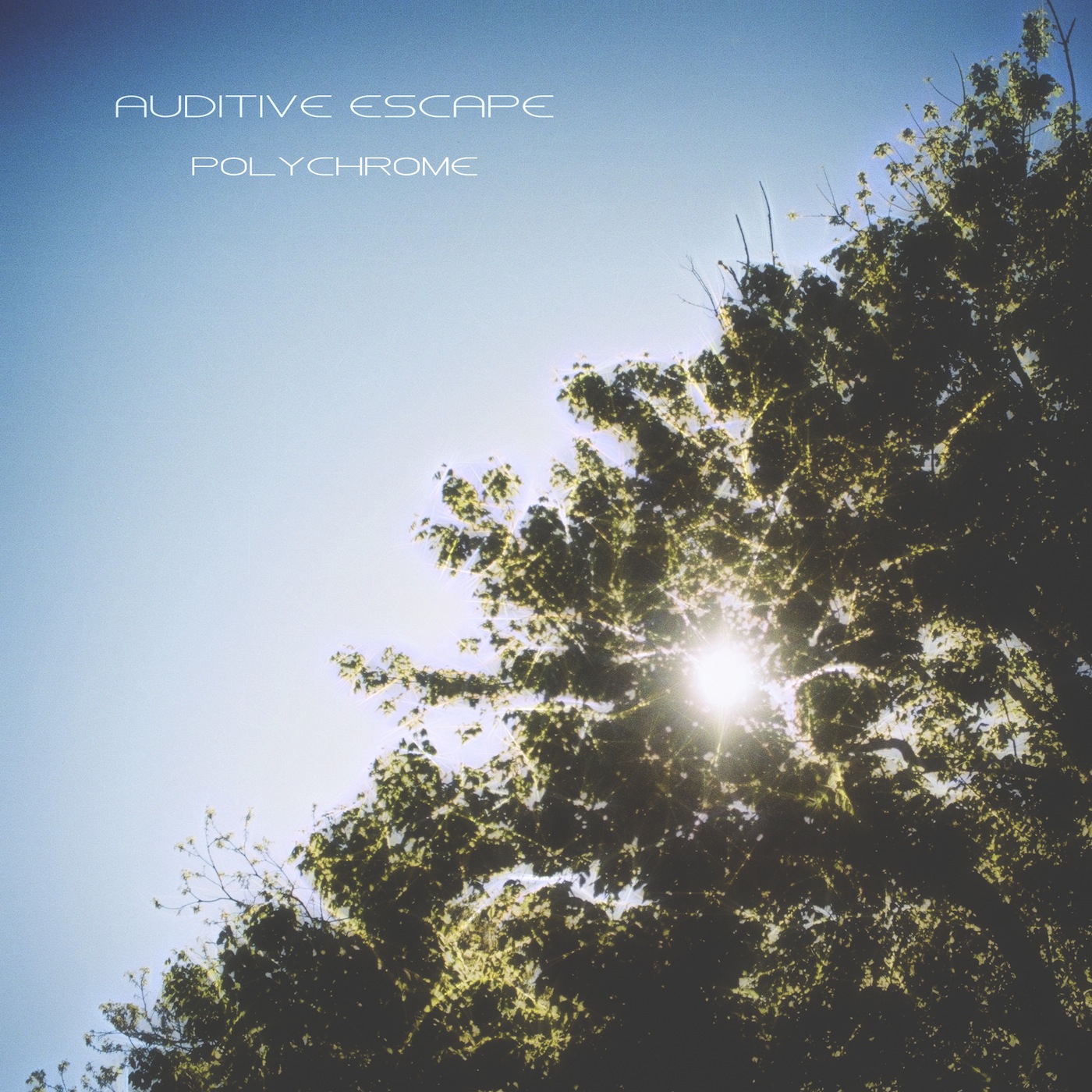 Polychrome (LP) – Auditive Escape